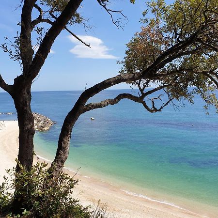 La Dolce Vita Castelfidardo Dış mekan fotoğraf