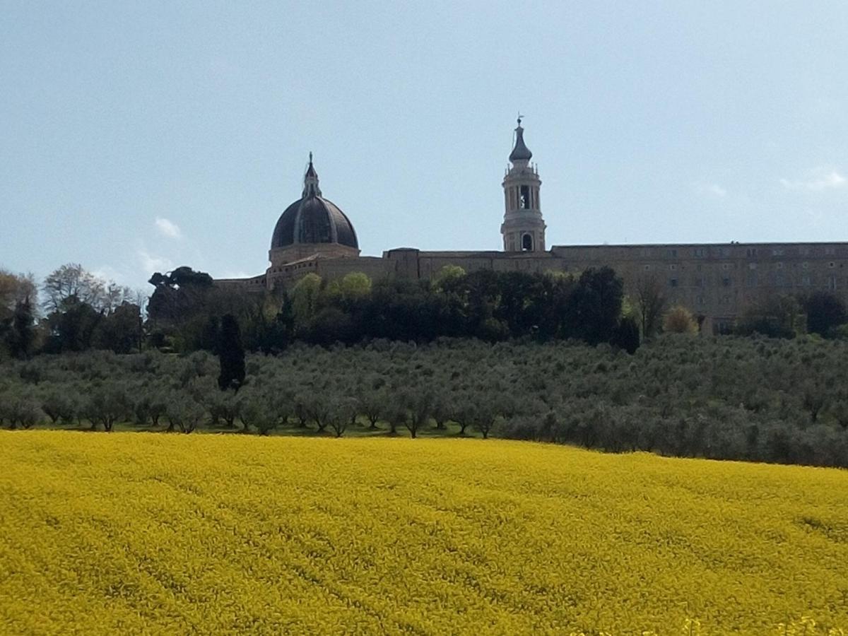 La Dolce Vita Castelfidardo Dış mekan fotoğraf