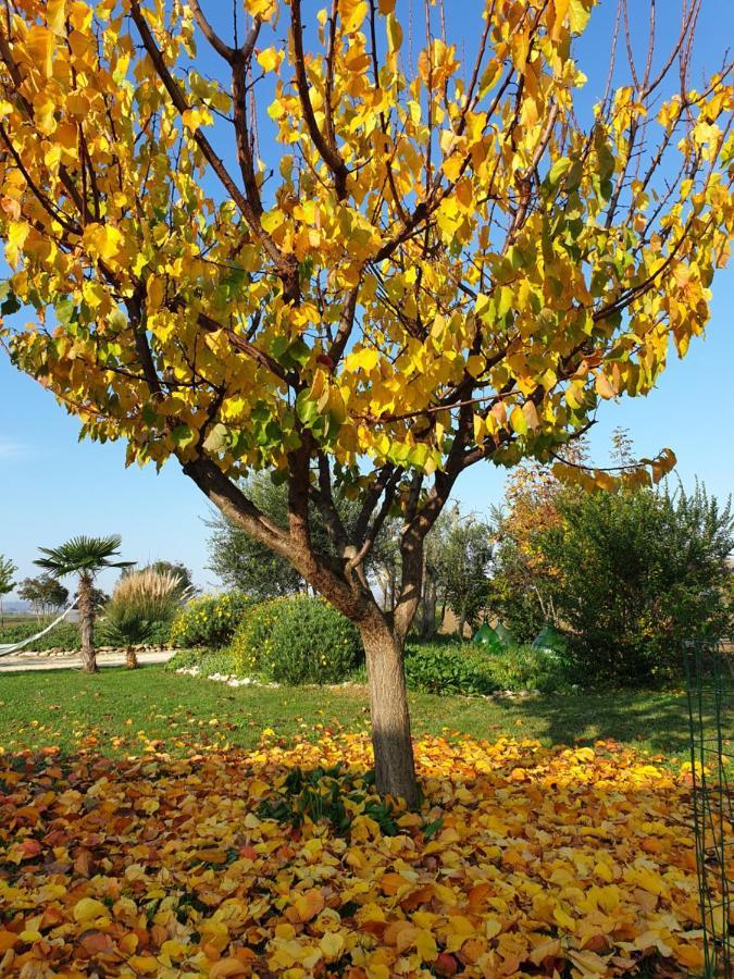 La Dolce Vita Castelfidardo Dış mekan fotoğraf