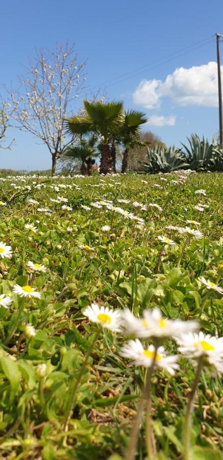 La Dolce Vita Castelfidardo Dış mekan fotoğraf