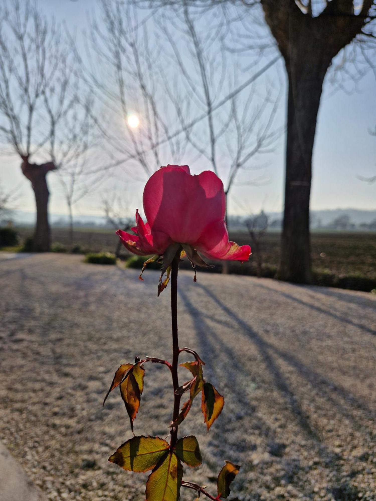 La Dolce Vita Castelfidardo Dış mekan fotoğraf