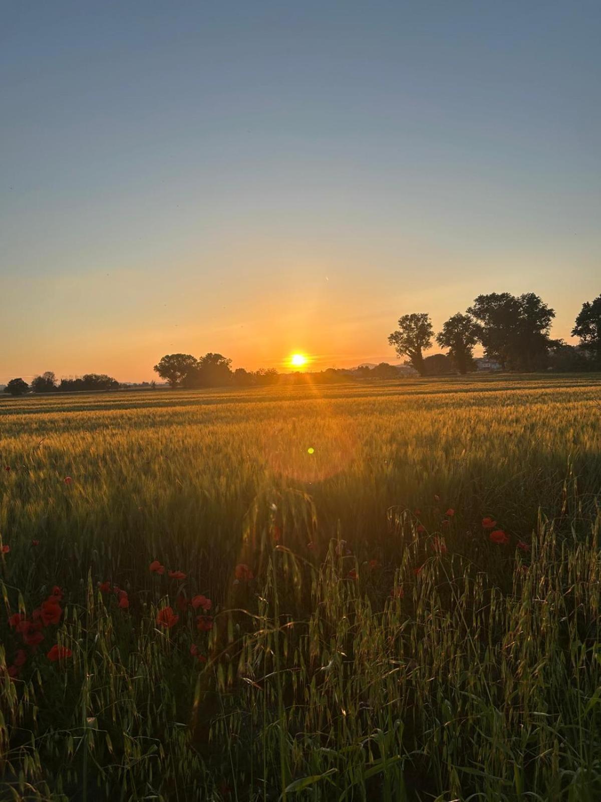 La Dolce Vita Castelfidardo Dış mekan fotoğraf